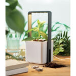 Unutarnji vrt s LED svjetlom LUSHLET - Slika 4